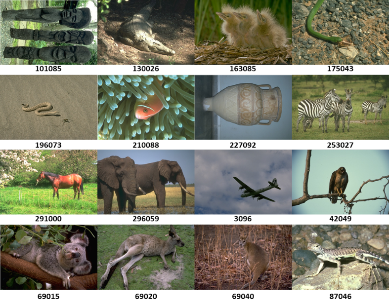 Figure 2: Subset of Images from the Berkeley Segmentation Dataset Used to Evaluate Performance.